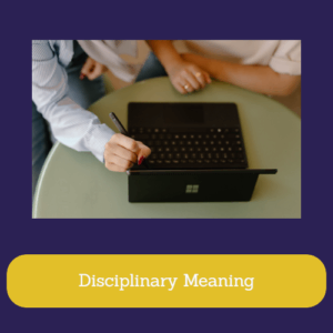 Disciplinary Meaning