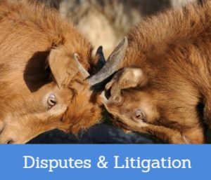 Disputes And Litigation Solicitors Near Me