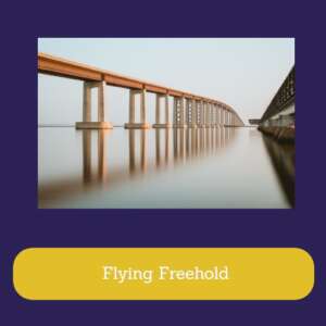 Flying Freehold