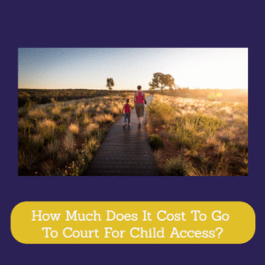 How Much Does It Cost To Go To Court For Child Access?