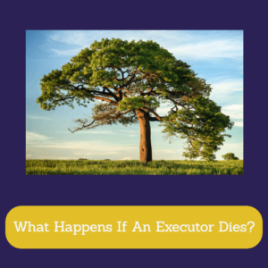 What Happens If An Executor Dies?